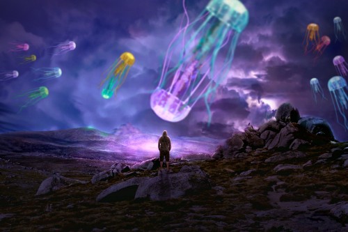 Jellyfish-Surreal-Fantasy-Animal-Creature.jpg