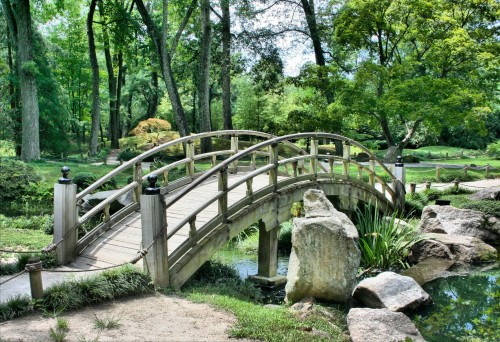Bridge-Park-Garden-Japanese-garden-Path-Walkway.jpg