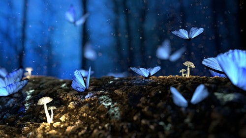 Fantasy-Butterflies-Mushrooms-Forest-Insects.jpg
