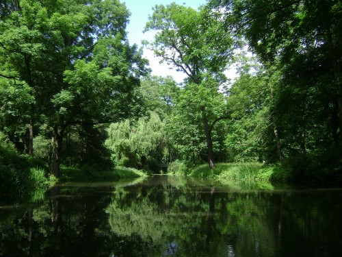 Warsaw-Poland-Park-Forest-Trees-Woods-Lake-Pond.jpg