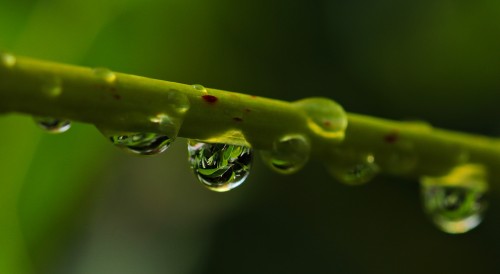 Waterdrop-Drops-Nature-Raindrop-Close-up-Mood.jpg
